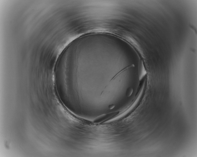 X0000102821428200808251100