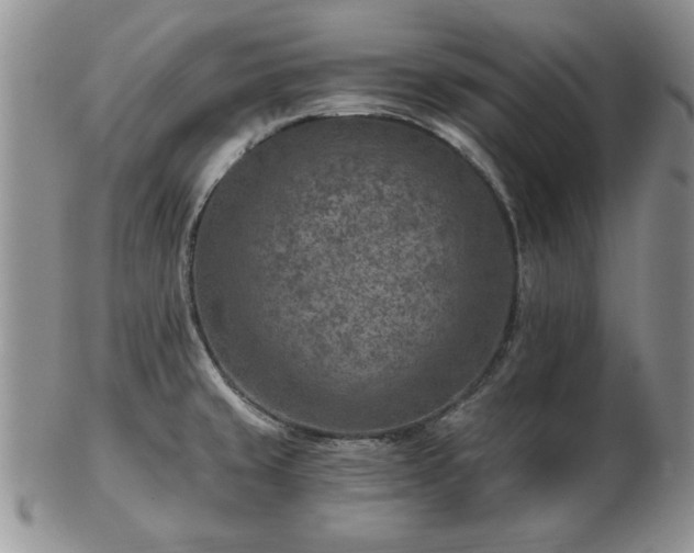 X0000102821429200808251100