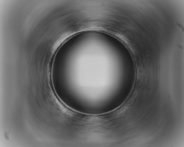 X0000102821430200808251100