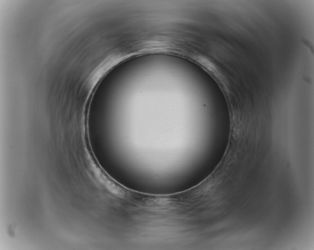 X0000102821431200808251100