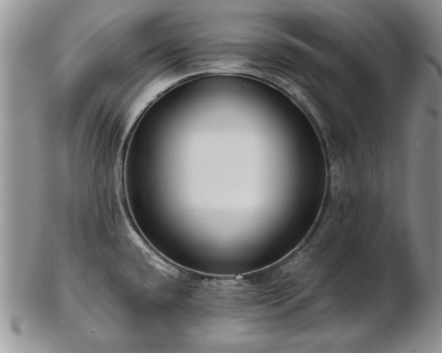 X0000102821432200808251100
