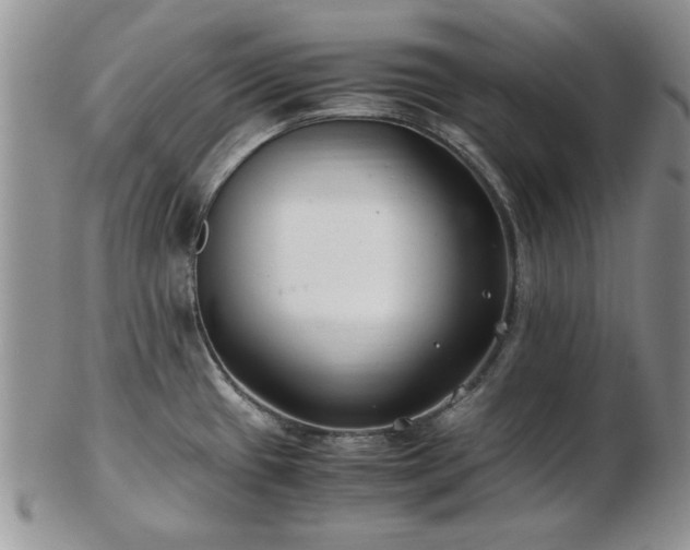 X0000102821433200808251100