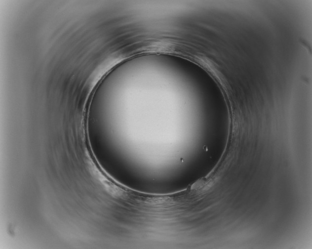 X0000102821434200808251100