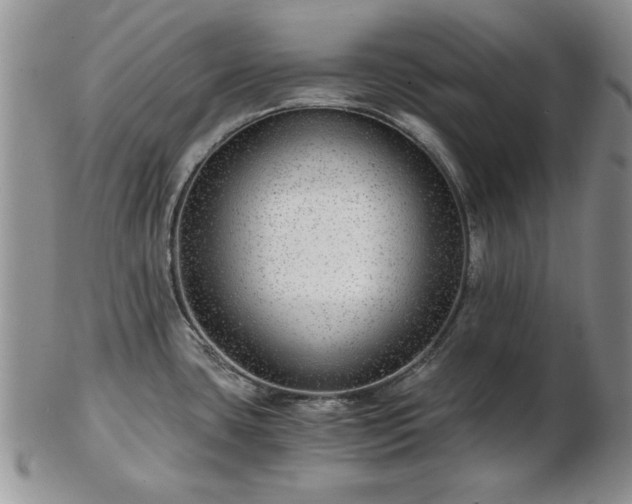 X0000102821435200808251100
