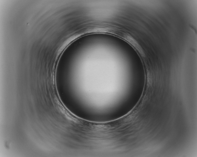 X0000102821436200808251100