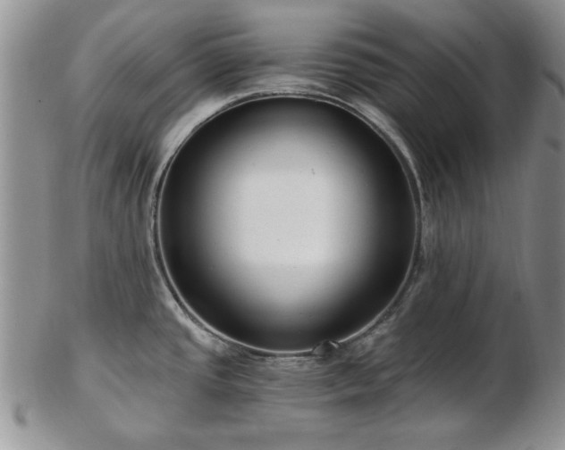 X0000102821437200808251100