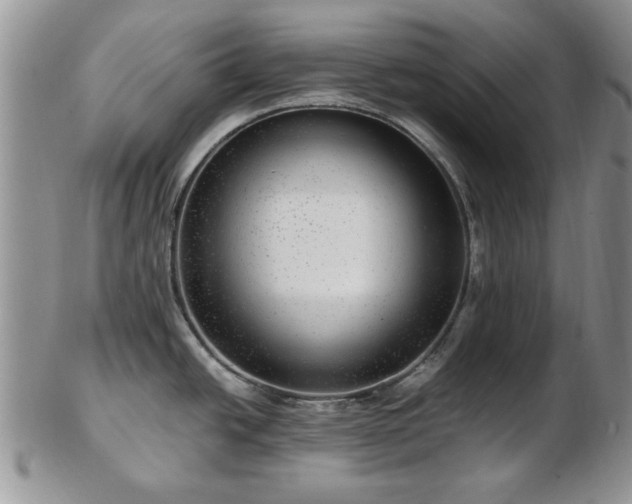X0000102821438200808251100