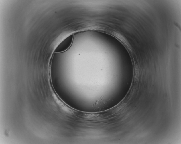 X0000102821439200808251100