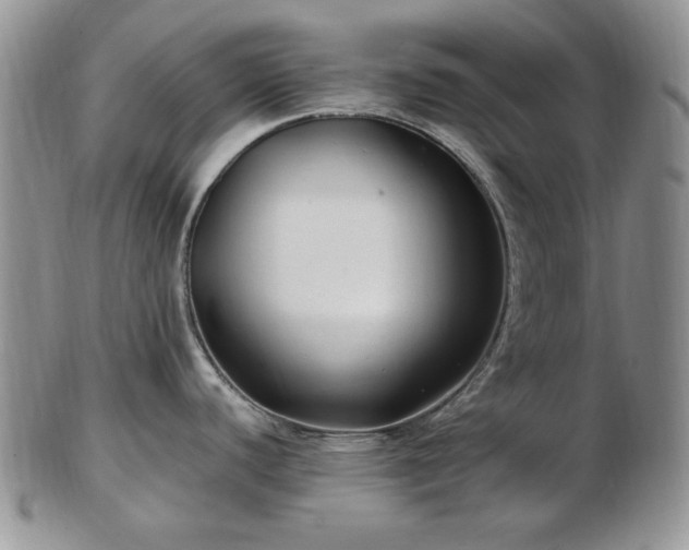 X0000102821440200808251100
