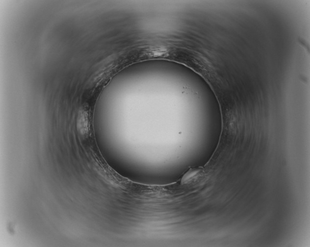 X0000102821442200808251100