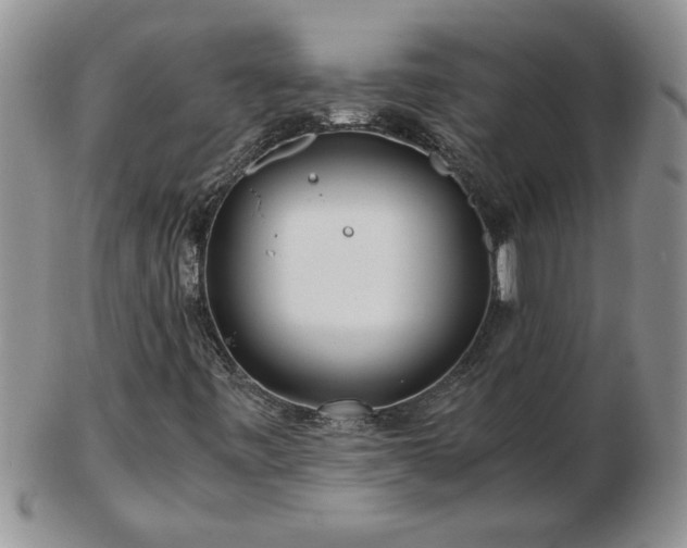 X0000102821443200808251100