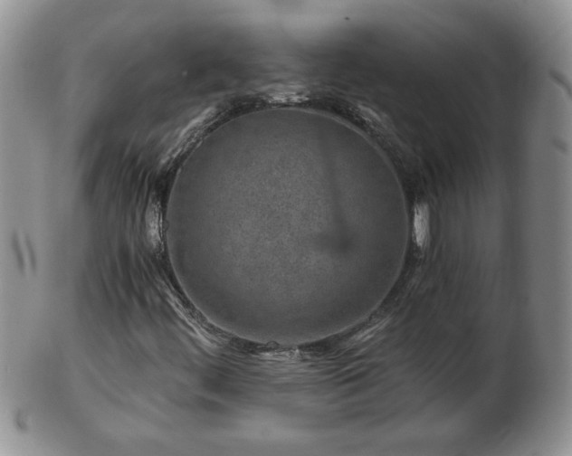 X0000102821444200808251100