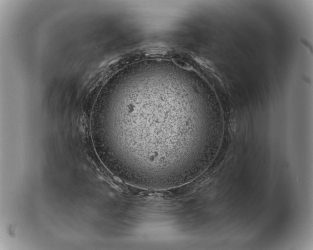 X0000102821445200808251100