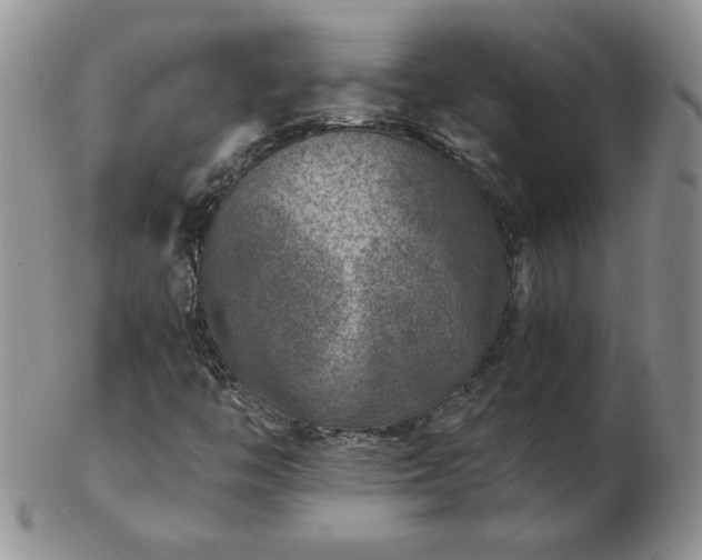 X0000102821446200808251100