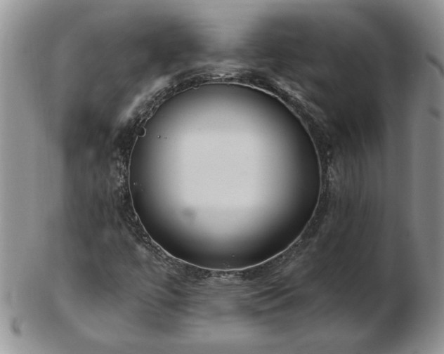X0000102821447200808251100