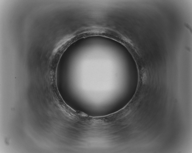 X0000102821448200808251100