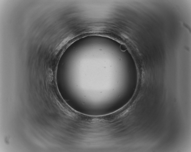 X0000102821449200808251100