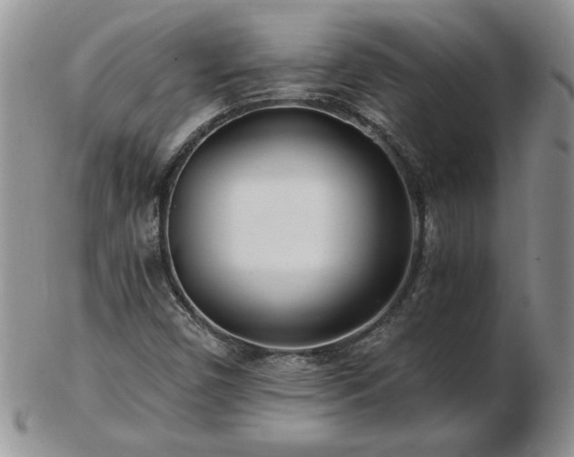 X0000102821450200808251100