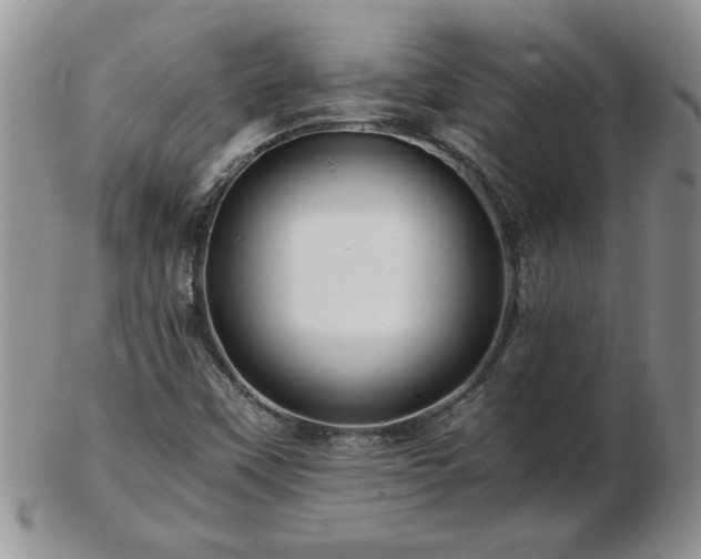 X0000102821451200808251100