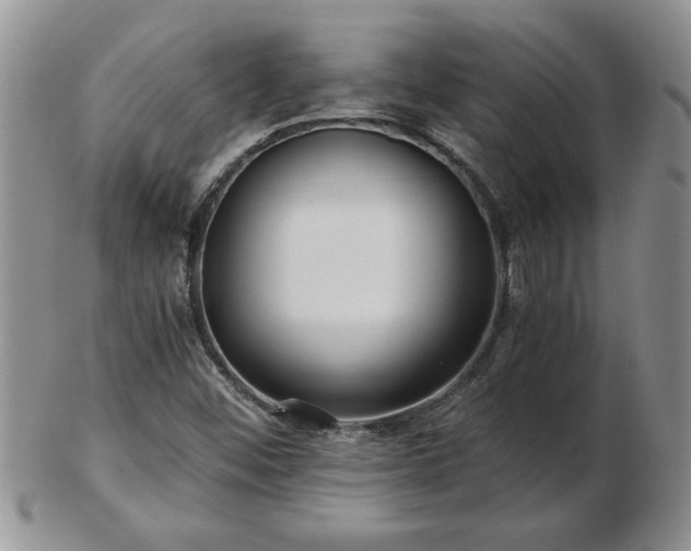 X0000102821452200808251059