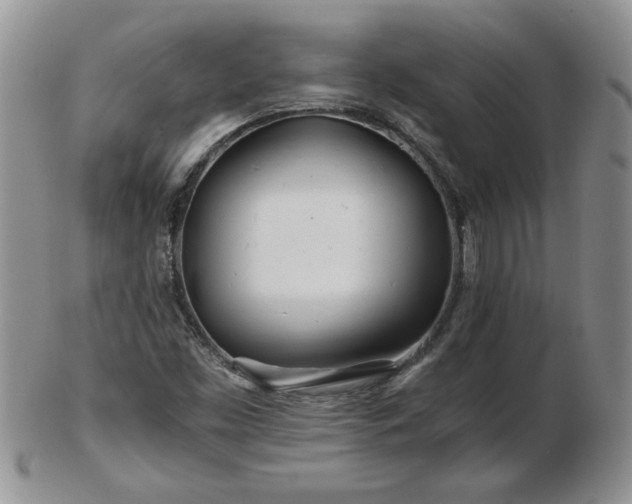 X0000102821453200808251059