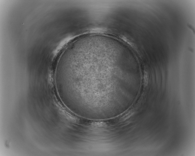 X0000102821454200808251059