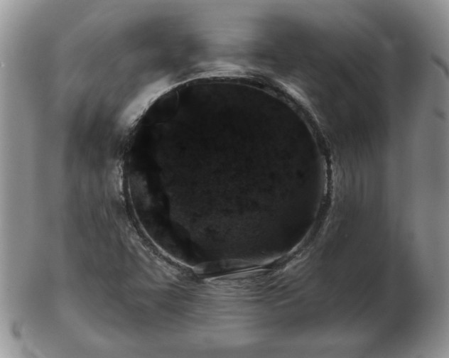 X0000102821455200808251059