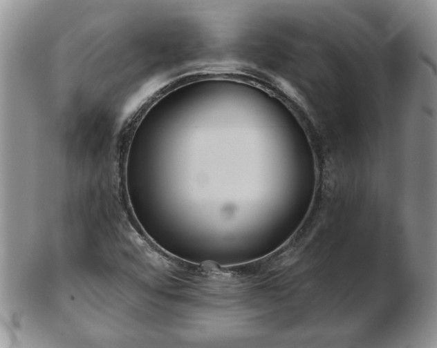 X0000102821456200808251059