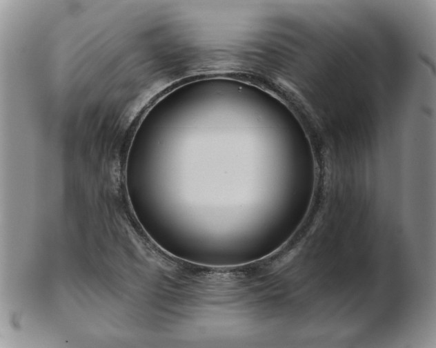 X0000102821457200808251059