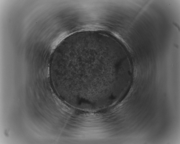 X0000102821459200808251059