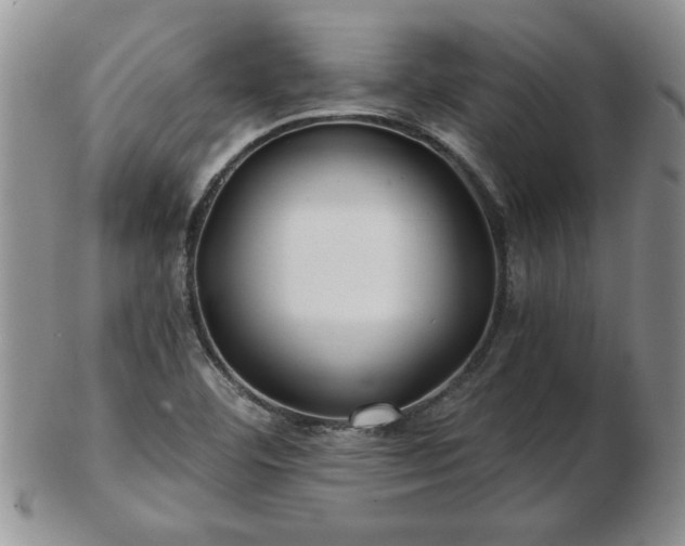 X0000102821460200808251059