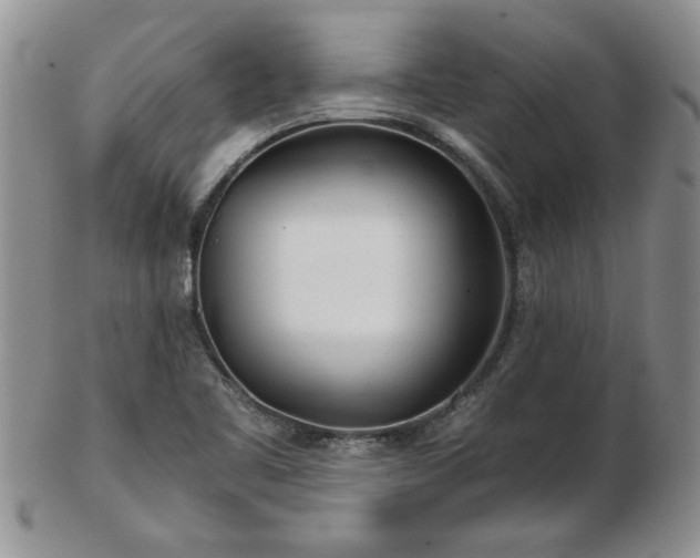 X0000102821461200808251059