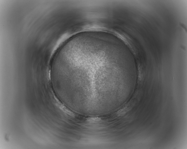 X0000102821462200808251059