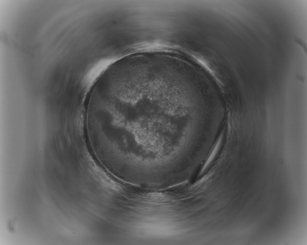X0000102821463200808251059