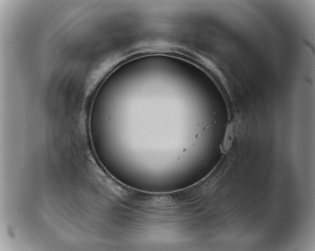 X0000102821464200808251059