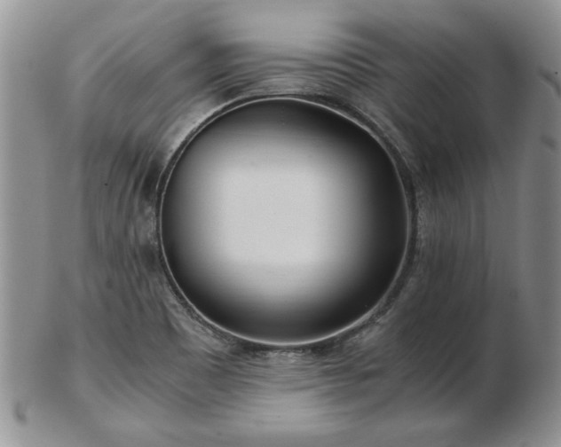 X0000102821465200808251059