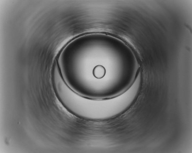 X0000102821468200808251059