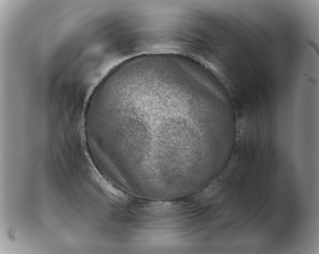 X0000102821470200808251059