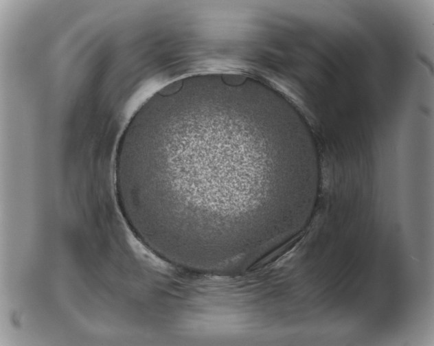 X0000102821471200808251059