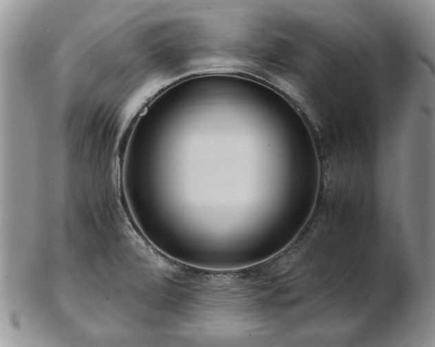 X0000102821472200808251059