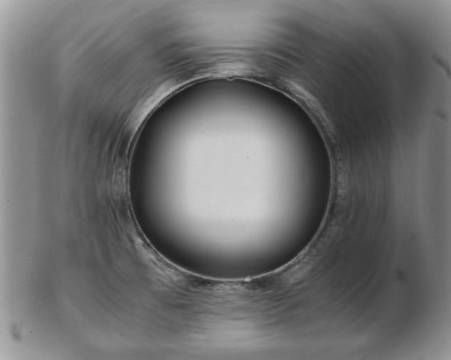 X0000102821473200808251059