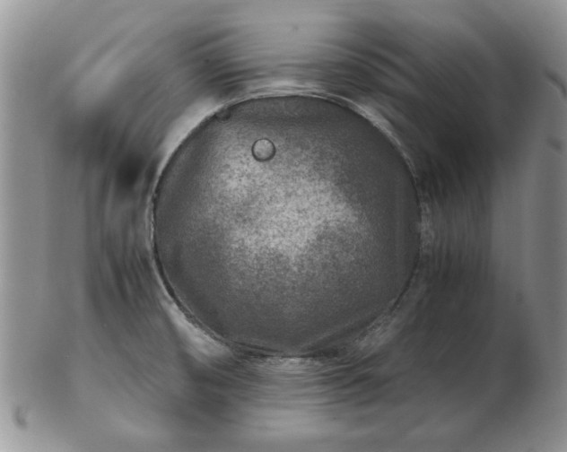 X0000102821474200808251059
