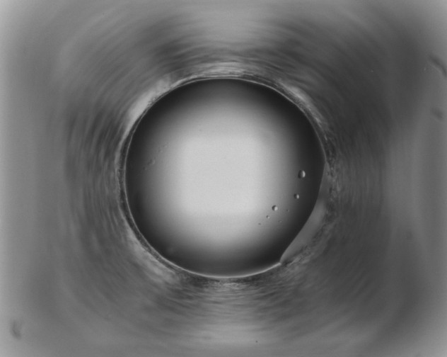 X0000102821475200808251059