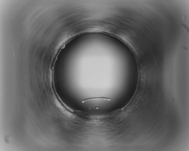 X0000102821476200808251059