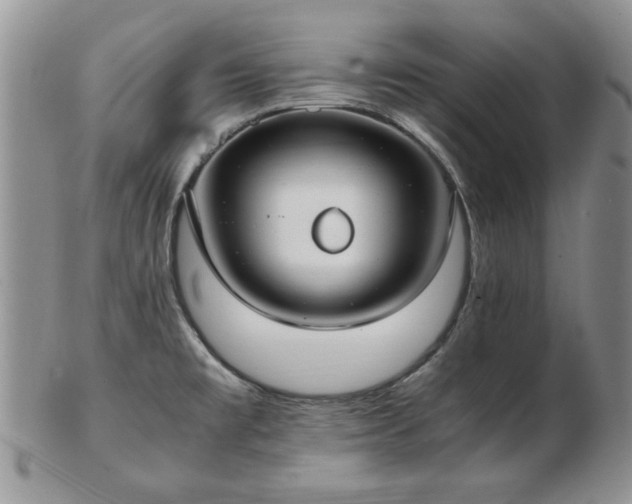 X0000102821477200808251059