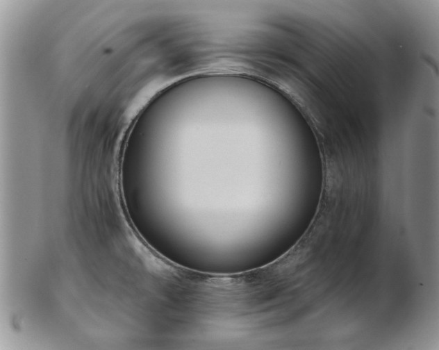 X0000102821478200808251059