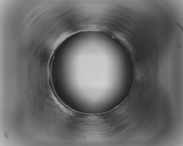 X0000102821479200808251059