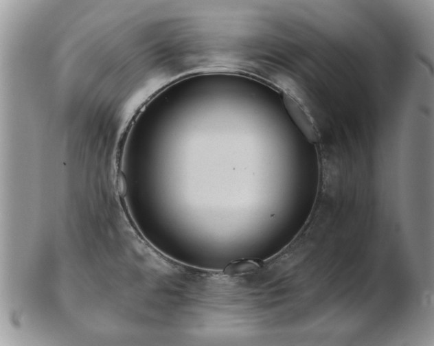 X0000102821480200808251059