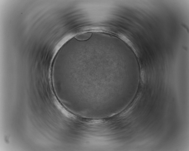 X0000102821482200808251059