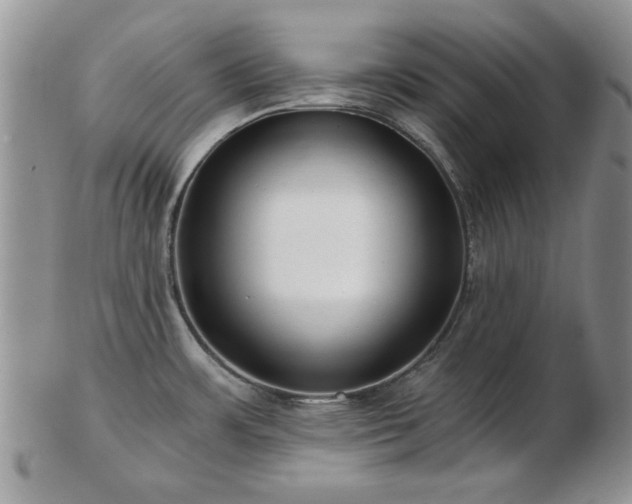 X0000102821483200808251059